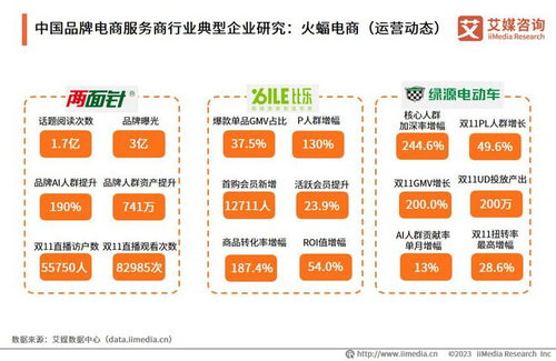 艾媒咨询 2023年中国品牌电商服务商行业研究报告